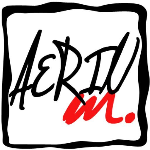 AERIN m.